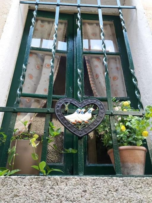Vila Gioco Dell'Oca Ponna Superiore Exteriér fotografie